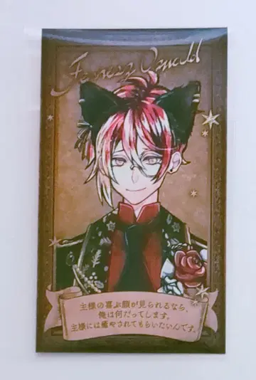 [ 악마고양이 ] 페네스 난자 입장 혜택