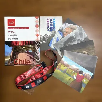 간사이 오사카 엑스포 칠레관 넥스트랩 팜플렛 엽서 6장
