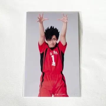 극단 하이큐 쿠로오 테츠로 미니 사진