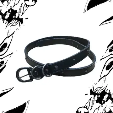 alice auaa 가죽 벨트 archive