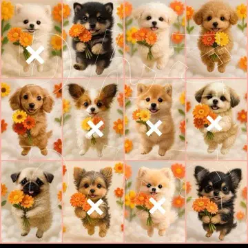 접수 꽃다발 미니