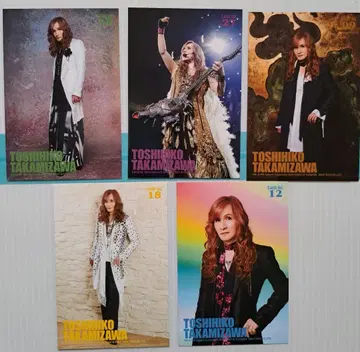 THE ALFEE 타카미자와 씨 트레이딩 카드