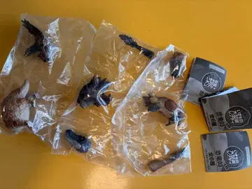 생물대도감 공룡 03 쁘띠 벨로키랍토르 켄타우로스 3종