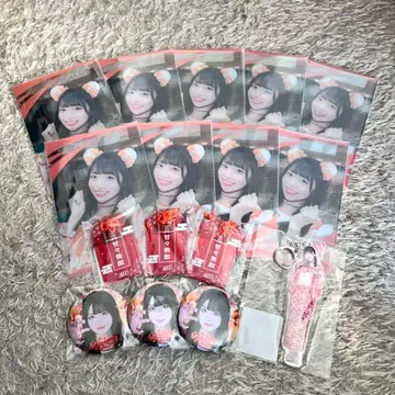 iLiFE! 코구마 마무 묶음 판매