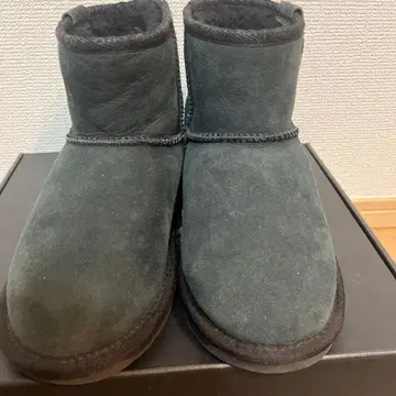 EMU 스팅거 미니