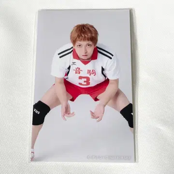 극단 하이큐 야쿠 모리스케 미니 사진