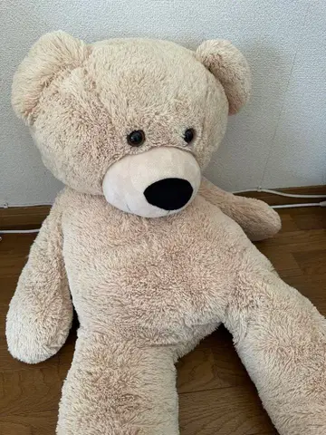 곰 봉제 인형