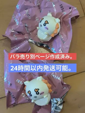 치이카와 시사 hippers 2개 세트