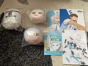 하이큐 노루캬라 마스코트 오만쥬 호시우미 코라이