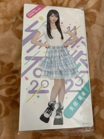 개별 사진 앨범 / 한여름의 전국 투어 2025 세토구치 신츠키