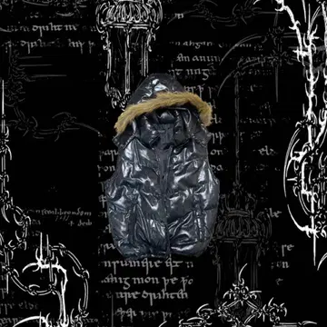 y2k 헤이세이 시크 스타일 archive 퍼 다운 베스트 블랙 광택