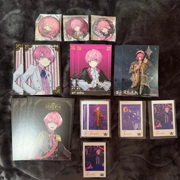 KnightA KnightX 기사A 기사X 포토 카드 브로마이드 테루토군