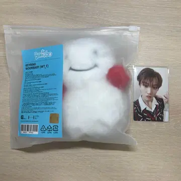 BOYNEXTDOOR WOONBABY 운아기 운학 키링 트레이딩 카드