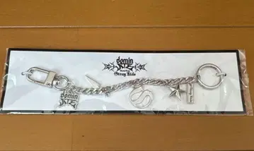 Stray Kids 스키즈 dominATE 키링 B