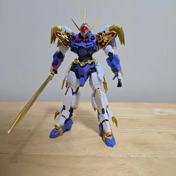 HG Amplified IMGN 용신 미도장 완성품