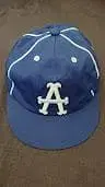 알디스 야구 모자