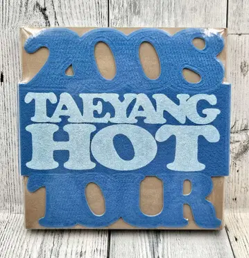 BIGBANG 2008 & TAEYANG 콘서트