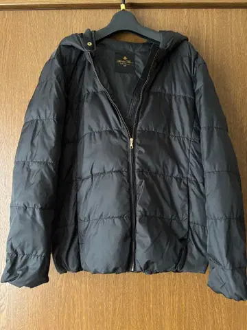 나노 유니버스 블루종