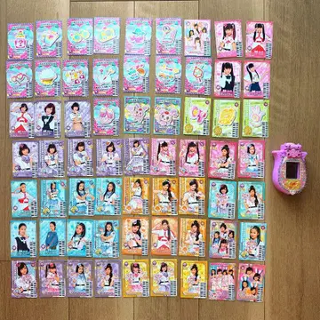 러브패트롤 라브패트롤 스카이 리 카드 63장 세트