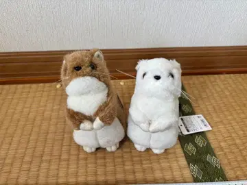 브라운과 화이트 페럿 봉제 인형