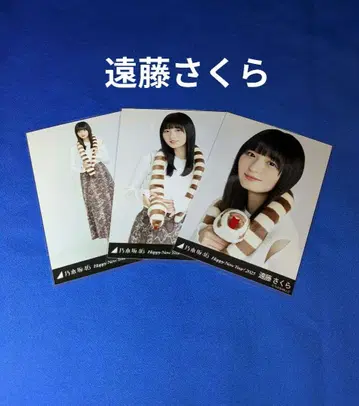 노기자카46 엔도 사쿠라 계묘년 뱀 컴프