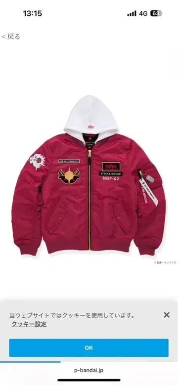 STRICT-G ALPHA 건담 SEED MA-1 카가리