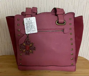 안나수이 핸드백