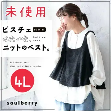 서울베리 뷔스티에 같은 니트 베스트