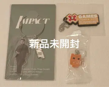 IMP. IMPACT 츠바키 타이카 아크릴 키링 XGAMES 피코파크