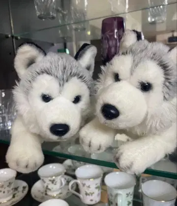 GUND 허스키 강아지 봉제 인형 부모 자식 세트