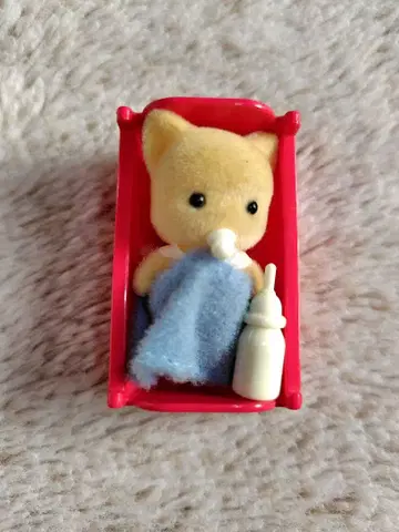 3년 2반의 친구들 고양이 아기