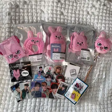 straykids skzoo 창빈 세트