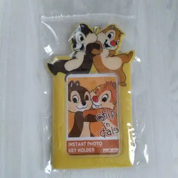 칩과 데일 인스턴트 사진 키링