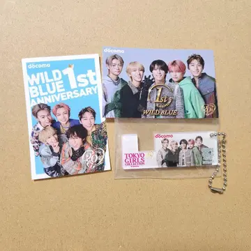 도코모 TOKYOGIRLSCOLLECTION WILDBLUE 키링
