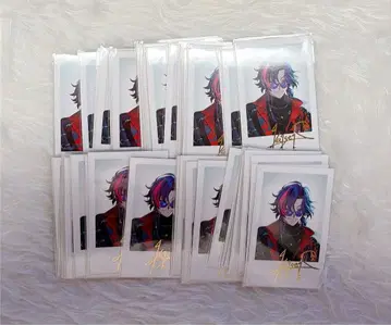 니지산지 카이세이 welcome 폴라로이드 R 51장