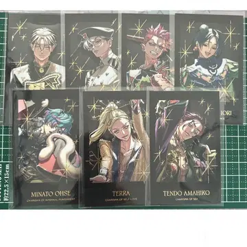 카리스마 폴라로이드