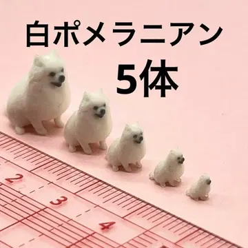 포메라니안 화이트 개 피규어 1/18 1/24 1/32 1/43 1/64