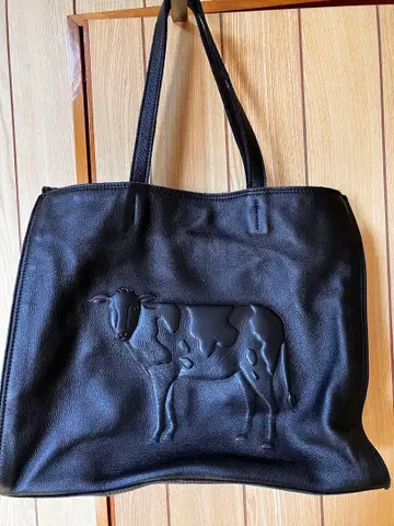 ear papillonner 백 소