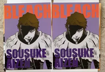 BLEACH 아트 카드 컬렉션 아이젠 2세트