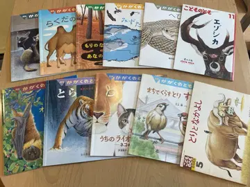 동물 생물 11권 + 덤 1권 호랑이 고양이 뱀 박쥐