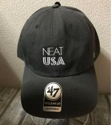47 NEAT USA 차콜 캡 모자