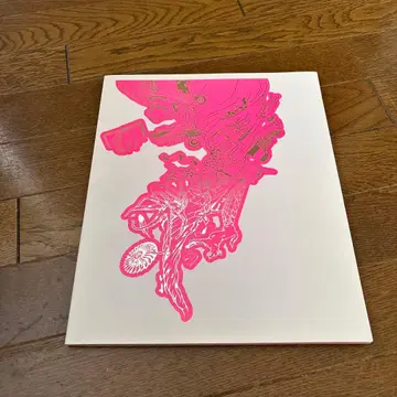 아라시 Dream Alive 2004 팜플렛