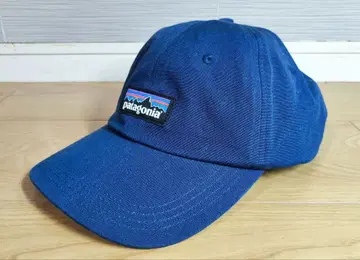 patagonia P-6 label trad cap 파타고니아 네이비