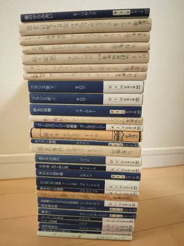 [ 희귀본 ] 신초문고 헤이세이 복간 해외 문학 29권 세트