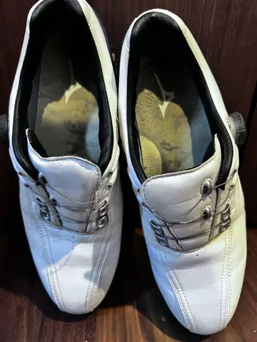 미즈노 골프화 스파이크 화이트