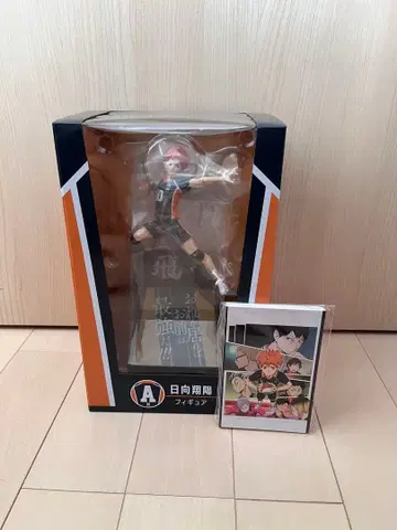 하이큐 해피 복권 히나타 쇼요 카드 포함