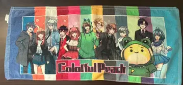 카라피치 시마무라 타월 2장