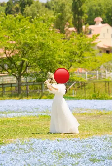 결혼식 사전 촬영 웨딩 드레스 퍼프 슬리브 포함