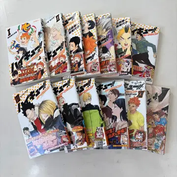 하이큐!! 소설판!! 1~13권