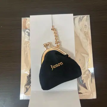 JUNON BE:FIRST 시크릿 코인 케이스